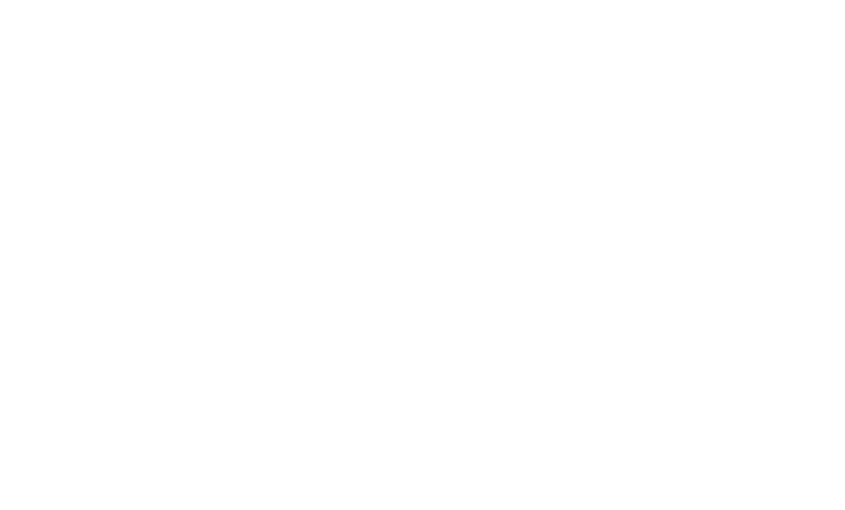 Logo-Triloop